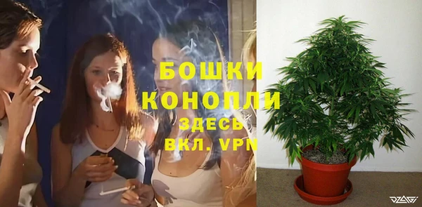 прущая мука Горняк