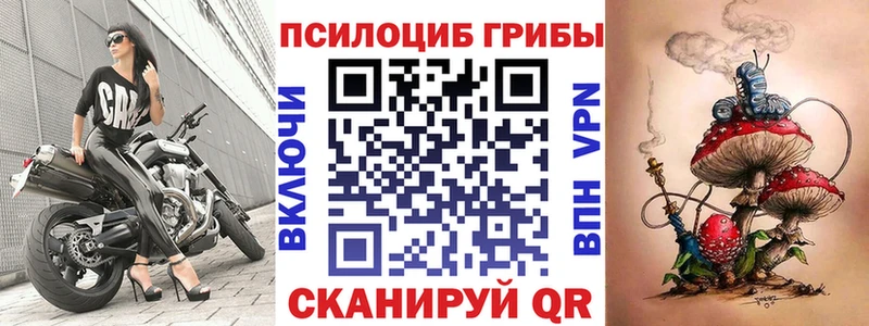закладки  Гусь-Хрустальный  Галлюциногенные грибы MAGIC MUSHROOMS 