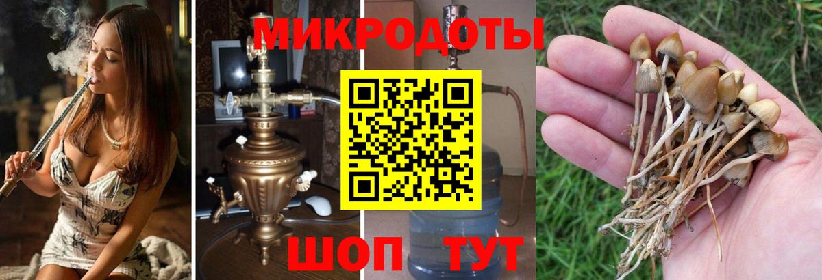 Псилоцибиновые грибы Psilocybine cubensis  Вход с VPN  Гусь-Хрустальный 