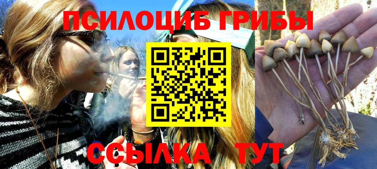 Псилоцибиновые грибы мухоморы Гусь-Хрустальный